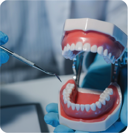 ایمپلنت دندان در فک پایین؛ بررسی مراحل، مزایا و معایب